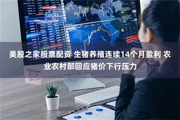 美股之家股票配资 生猪养殖连续14个月盈利 农业农村部回应猪价下行压力